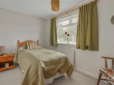 Picture 19